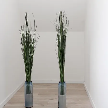 Σπίτι διακοπών Haus Deichterrasse