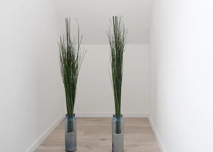 Dom wakacyjny Haus Deichterrasse